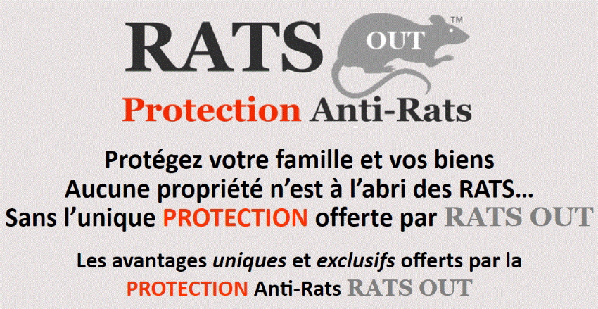 2 Pub enbalage 2024-03-10_074452